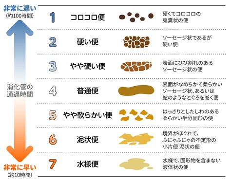 水便原因|水下痢が続く原因は？急性胃腸炎など病気の可能性も…